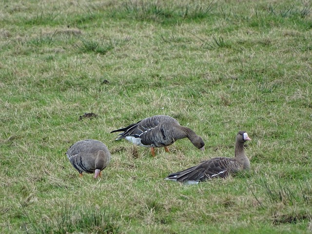 湖人成NBA公敌，连战11场强队比赛，球员逢湖人复出.