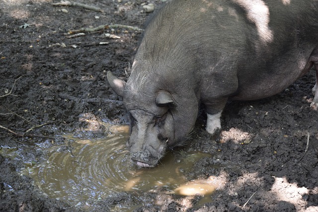 東京奧運會男子足球直播地址.